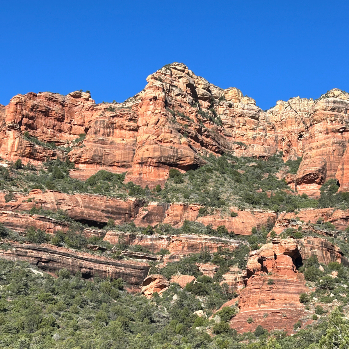 The Sedona Wellness Guide